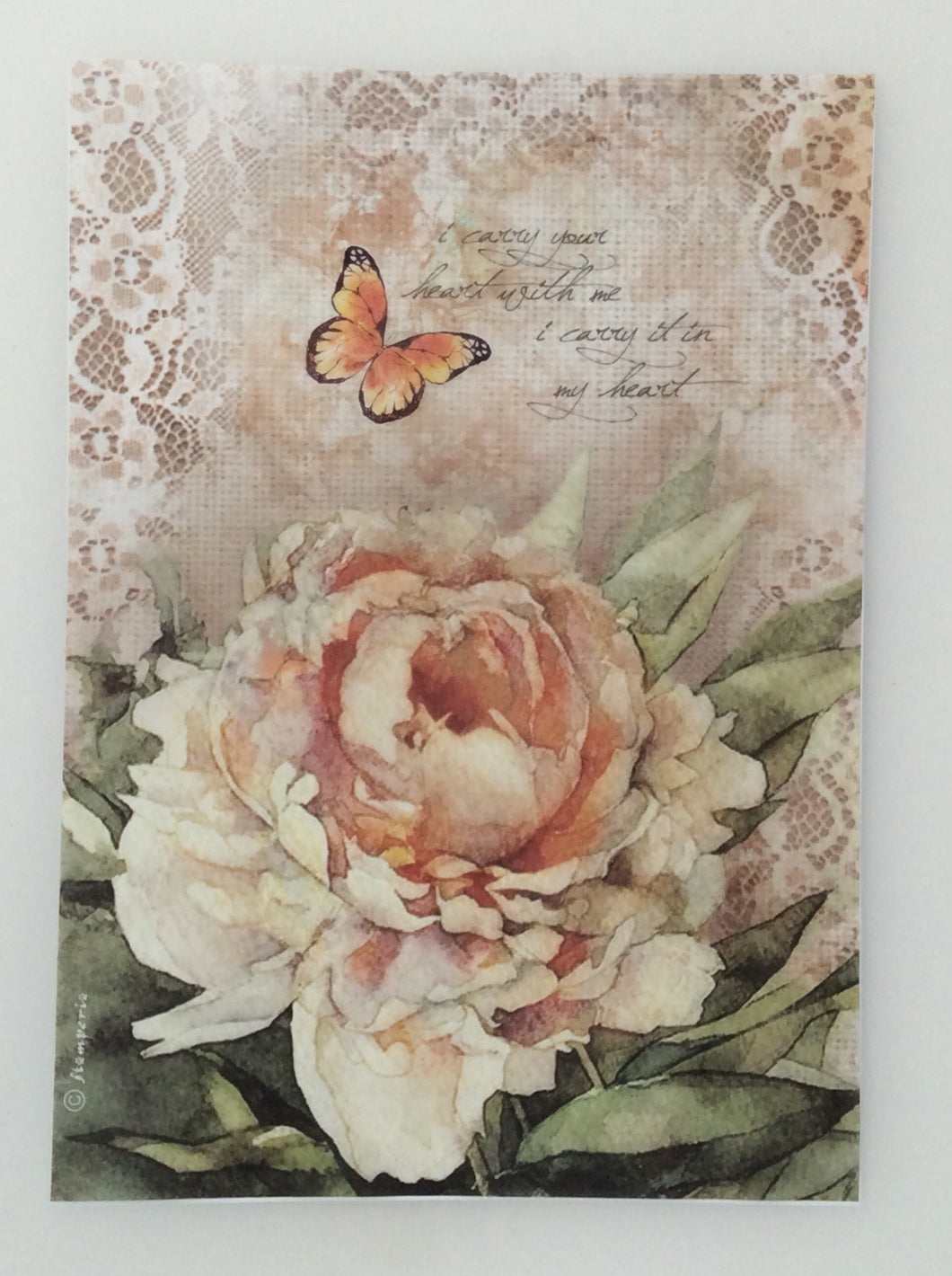 Stamperia Decoupage Rice Paper A4 Rose with Lace DFSA4278
