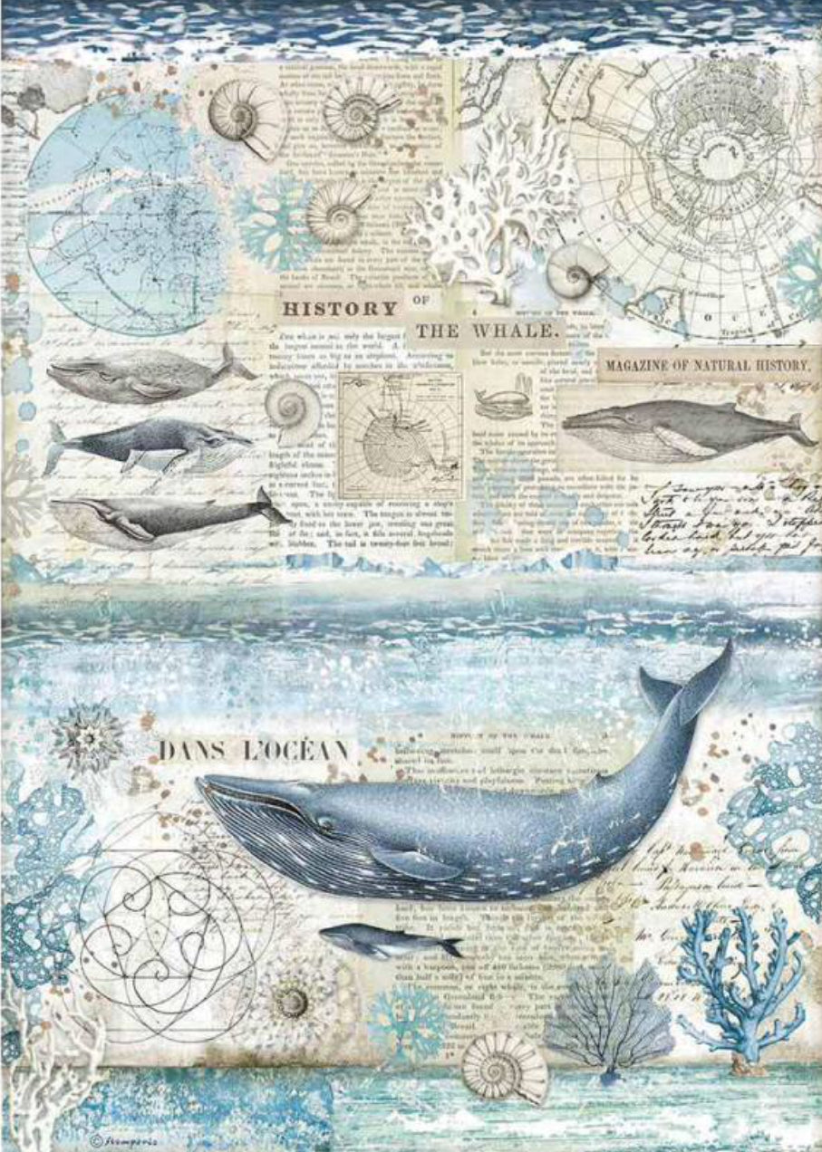 Stamperia Decoupage Rice Paper A3 History of the Whale DFSA3077