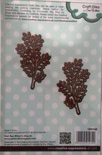 Creative Expressions Craft Dies by Sue Wilson Finishing Touches - Delicate Fronds 2 Dies